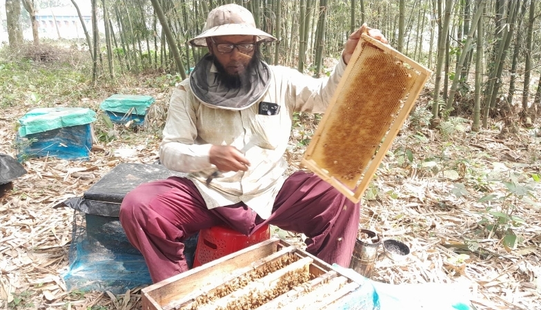 ঠাকুরগাঁওয়ে মিষ্টি কুমড়ার ক্ষেতেও সুস্বাদু মধু চাষে সাফল্য