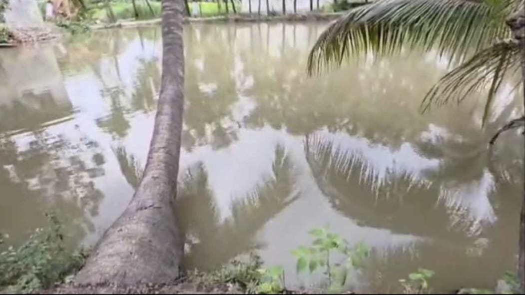 রূপগঞ্জে পুকুরের পানিতে পড়ে দুই শিশুর মৃত্যু